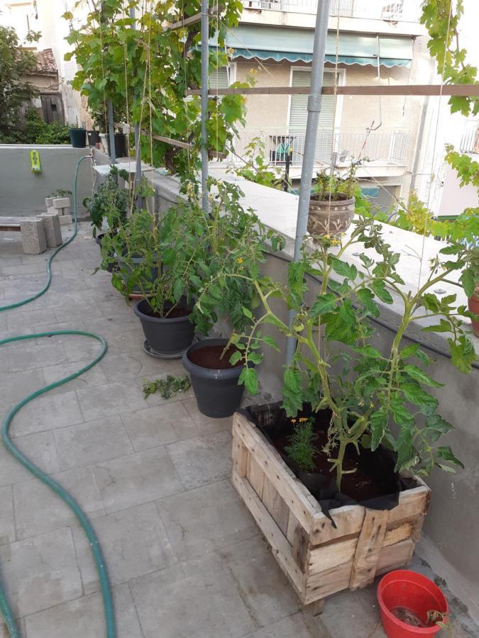雅典17 Flats And Roof Garden公寓 外观 照片