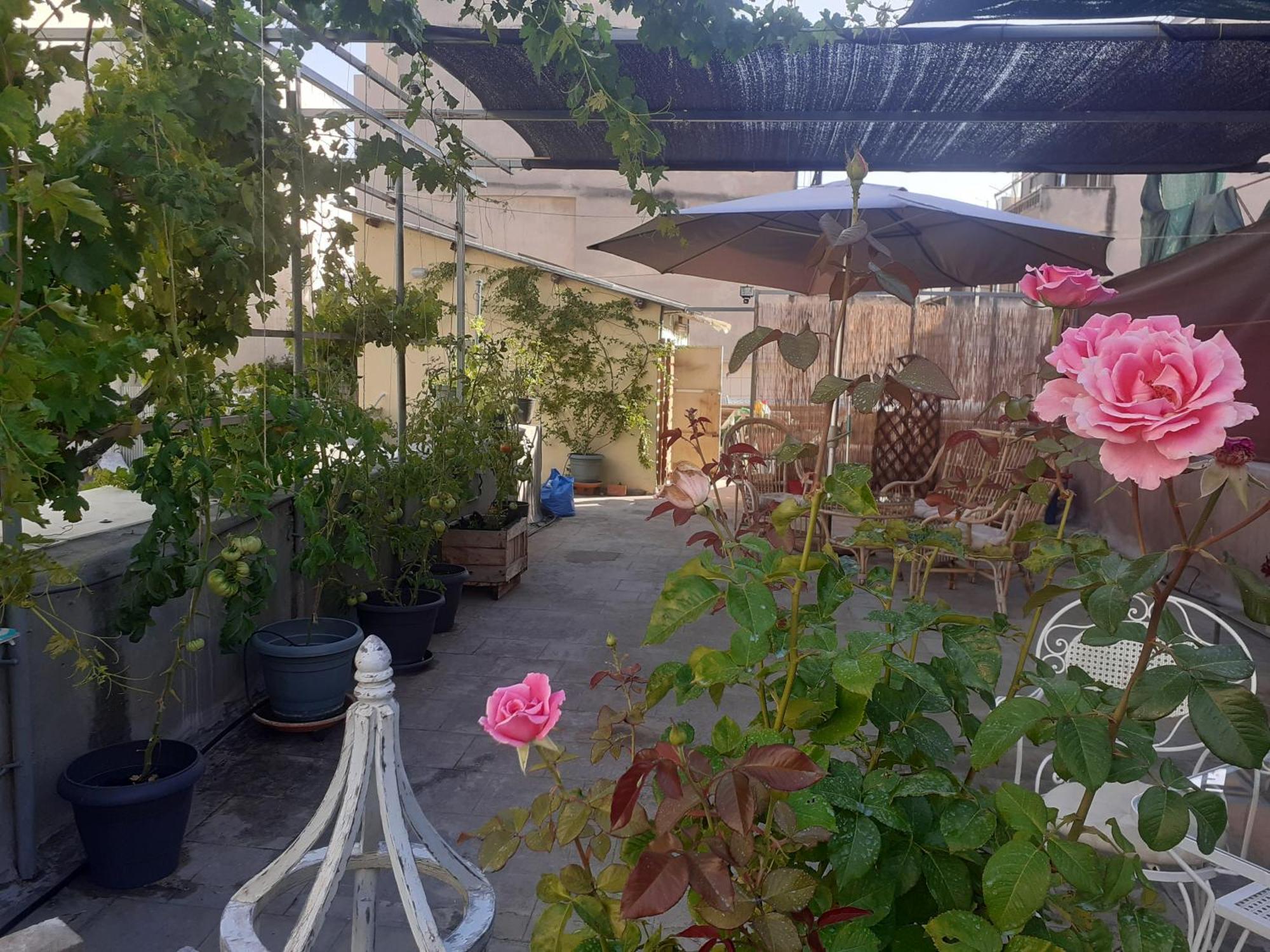 雅典17 Flats And Roof Garden公寓 外观 照片